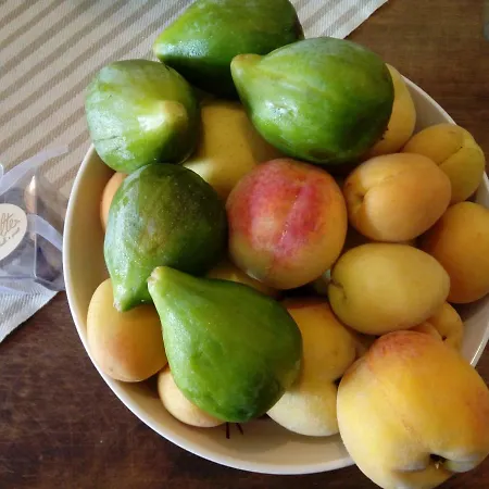 Navolte Trulli Con Piscina & Relax A